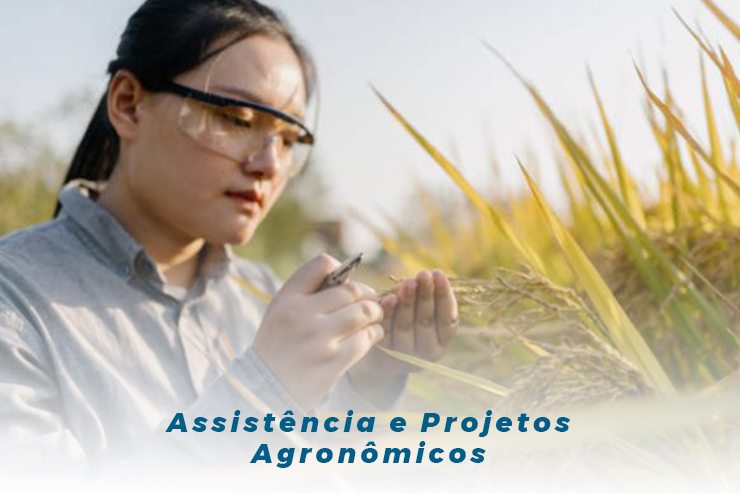 Assistência e Projetos Agronômicos