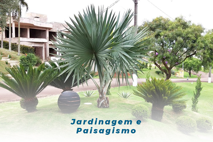 Jardinagem e Paisagismo